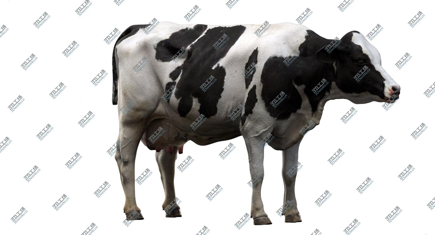 images/goods_img/20210313/Dairy Cow (NoFur) (Rigged) 3D model/3.jpg